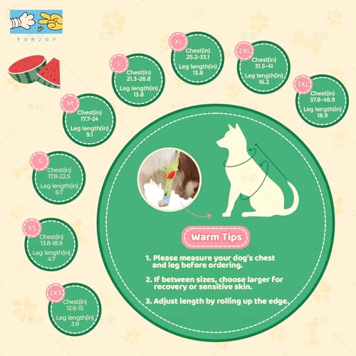 Dog Front Leg Recovery Sleeve – Single Sleeve to Prevent Licking, Scratching & Biting Cone Collar Alternative for Surgery, Wound Care, ACL CCL, Joint Protection - color: Sweet Watermelon, size: X-Large