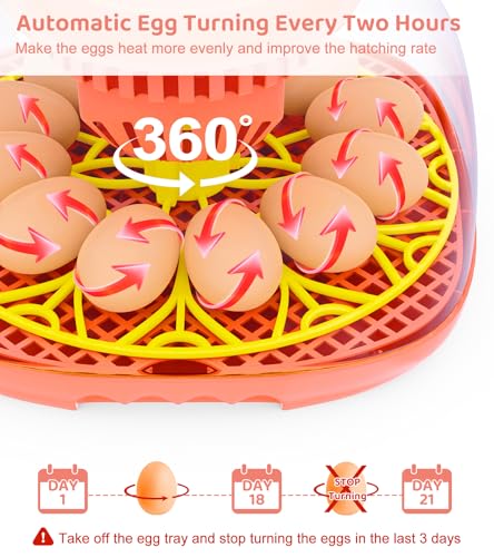 12 Egg Incubator for Hatching Eggs, Smart Temperature and Humidity Control, Automatic Egg Turning, Incubator for Hatching Chicken, Quail, Duck Eggs, 360° Clear View for Home, Classroom, Farm