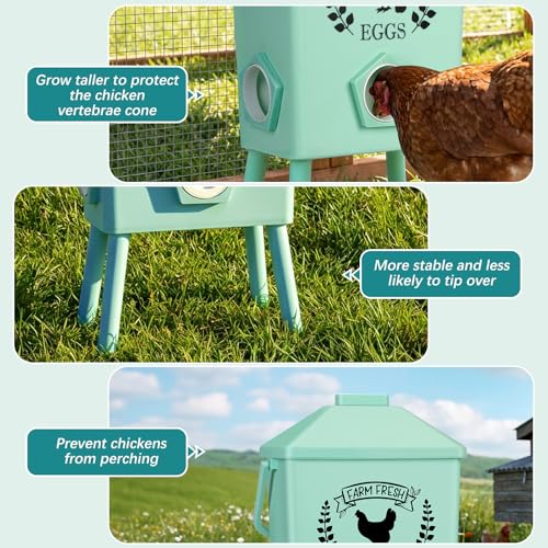 Tgeyd 4.2-Gallon Gravity Chicken Feeder & Waterer Set – No-Waste Poultry Feeder with Automatic Water Dispenser, Rainproof Lid, Raised Stand Legs & Anti-Roost Cone