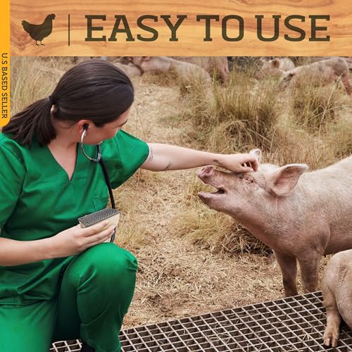 Rural365 Farrier Rasp with Wooden Handle, Mini Hoof Rasp File – Farrier Supplies for Miniature Horse, Pigs, Goats