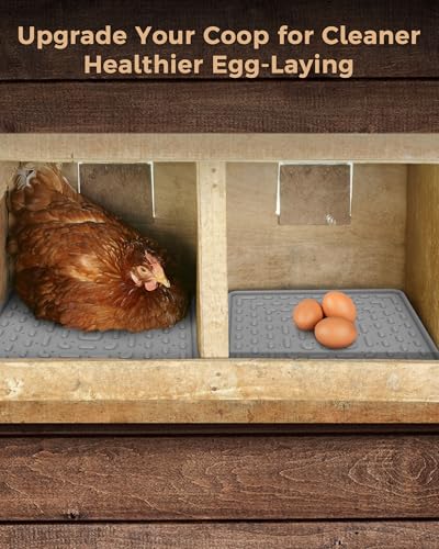 Washable & Reusable Nesting Pads for Chicken Coop - 4Pcs Chicken Nest Mats - Durable 12"x 12" Plastic Nest Box Pads for Egg Laying Hens (Soft, Easy Clean, Premium)