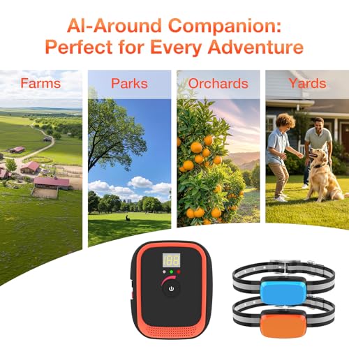 Electric Fence for Dogs, Electric Dog Fence with 2 Waterproof Collar | Underground Dog Fence Rechargeable, 656Ft Boundary Wire, Radio Boundary, Dog SafetyWired Dog Fence System for 2 Dogs