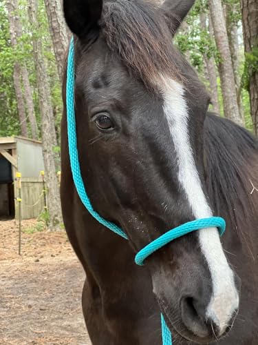 Heavy Duty Horse Lead Rope, 5/8-Inch Thick Nylon with Brass Ring - Soft Training Lead Rope for Horses with D-Ring - Heat-Sealed End for Extra Strength - Snap Link NOT Included - 10-Foot (Royal Blue) - color: Royal Blue