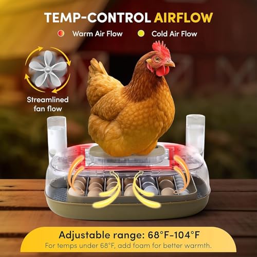 24 Egg Incubator, Incubators for Hatching Eggs with Fully Automatic Turner & Candler, Smart Temperature & Humidity Control, 360° View, Hatching Chicken, Duck, Quail, Goose Eggs for Farm, Home, School