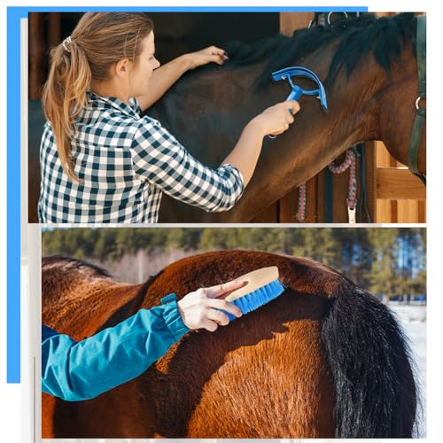Abbylike 12 Pieces Horse Grooming Kit Racing Festival Tack Room Supplies Horse Brush Sets Equine Care Cleaning Kit Shedding Grooming Massaging Tools(Blue) - color: Blue