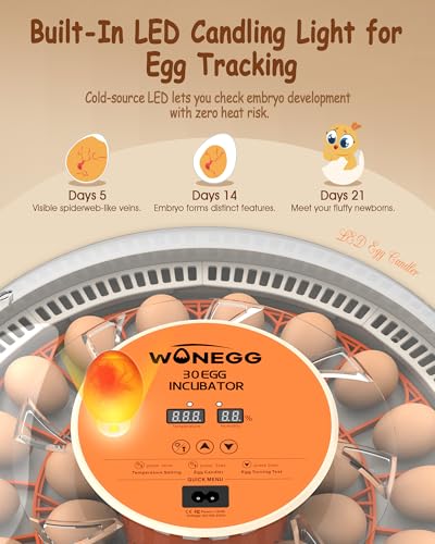 Incubator for Hatching Eggs, 30 Eggs Incubator with Automatic Egg Turning, Temperature Control & Humidity Display, LED Egg Candler, for Chicken, Quail, Parrot Eggs