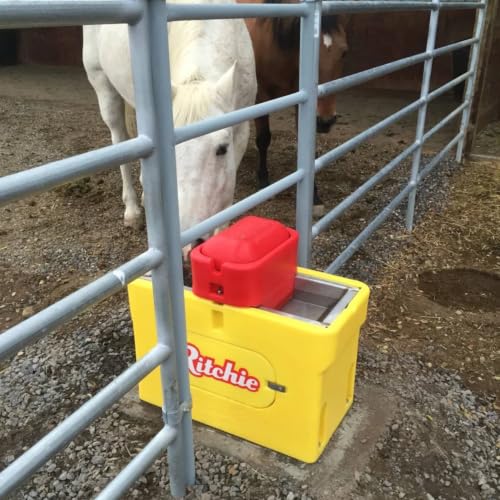Ritchie Omni Fount 2 Automatic Heated Cattle, Horse Waterer - color: Yellow