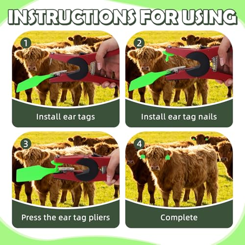 Blank Cattle Ear Tags 100PCS TPU Oversize 4.1x3 Inch Livestock Tags | Identification Tags for Cows Calves Cattle Goats Sheep Pigs Hog Fade Resistant Farm Animal Management (Green) - style: Green