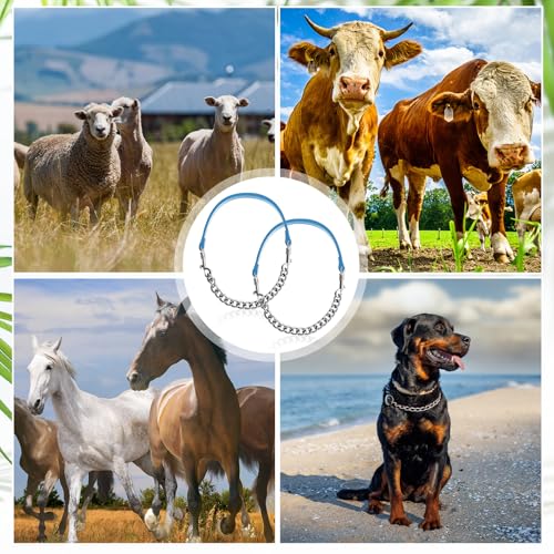 Misdary 2 Pcs Goat Show Collars, Adjustable 14"-24" Iron Chain Halter for Sheep, Horses, Dogs, Cows & Calves, Farm Animal Supplies Accessories Animal Lovers Gift (14'',Blue) - color: Blue