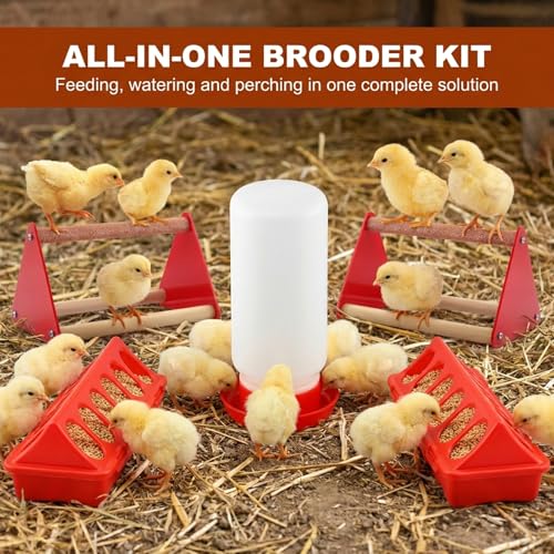 Chick Feeder and Waterer Kit with 2 Chick Perch Roost Bars | Flip Top Poultry Feeder, Chick Brooder Starter Kit, Baby Chicken Supplies for Chicks, Duck and Quail