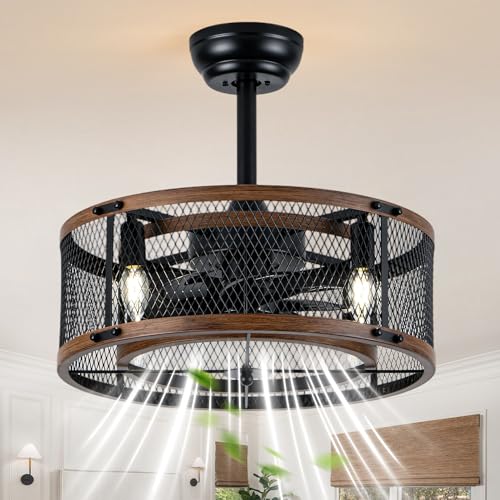 19" Modern Fandelier Ceiling Fan with Lights Remote Black Caged | Chandelier Ceiling Fan Industrial Fandelier for Bedroom Living Room, Reversible DC Motor 6 Speeds, 4 E12 Bulbs (Not Included) - color: Mesh Cage