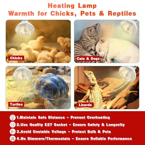 250W Heat Lamp Bulbs for Chicks Infrared Heat Lamp for Chicks （2 Packs） | 250W Infrared Heating Lamp，Even heat distribution，High-Quality Material, Heat-resistant and Distortion-free