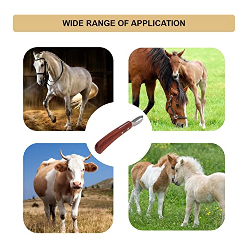 KUIDAMOS Hoof Knife for Horses, Double Edged Hoof Trimming Knife Hoof Trimmers with Cattle Horse Farrier Tools with Handle Farrier Hoof Loop Knife Farrier Supplies for Cutting