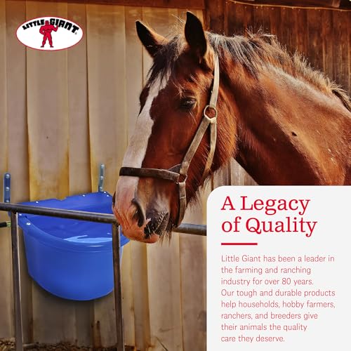 Little Giant FW16BLUE 4 Gallon Capacity Automatic Float Controlled Waterer Animal Horse & Cattle Livestock Water Trough, Blue (4 Pack)