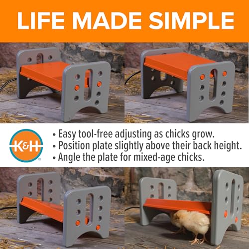 K&H Brooder Plate, Thermo-Poultry Brooder, Safety Listed, Small 25 Watts | Chicken Coop Heater with Safety Light, Adjustable Heat Plate for Chicks, Warms up to 15 Chicks, Gray/Orange - size: Small 13.5 X 8 X 8 Inches
