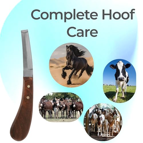 Hoof Knife Double Edged Curved Blade – Stainless Steel Curved Blade Farrier Tool with Wooden Handle, Multipurpose Hoof Trimming Knife for Livestock, 3-Inch Blade, 8.5-Inch Overall - style: Double Edge - RH