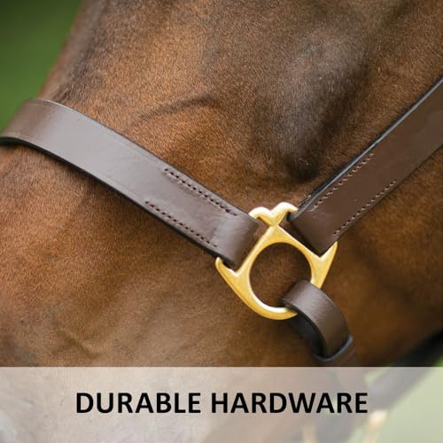 Dura-Tech Premier Lancaster Leather Halter for Horses | Simple Economy Leather Halter with Adjustable Fit & Solid Brass Hardware - size: Cob