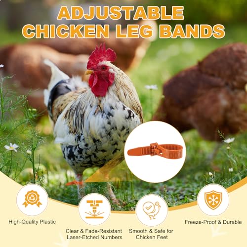 M METERXITY 100-Pack Adjustable Chicken Leg Bands, 10-28 mm Plastic Poultry Identification Chicken Leg Rings for Turkey/Duck/Goose/Chicks, Colorful Numbered Foot Clip on Tags [Orange] - color: Orange