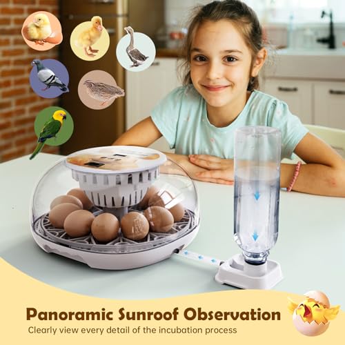 Egg Incubator for Hatching Chicks, Automatic Egg Turner Holds 12 Eggs | Smart Incubator 360° Clear Window with Temperature Display Egg Candler for Small Poultry Chickens Ducks Quails Eggs