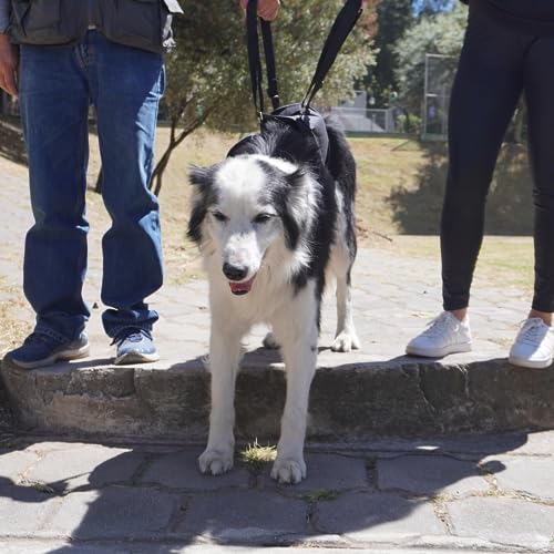AGON Canine Dog Sling Carrier Support Back Legs Hip Knee Hock Joint Harness to Help Lift Dogs Rear Aid and Old K9 Cruciate (X-Large, Black) - size: X-Large
