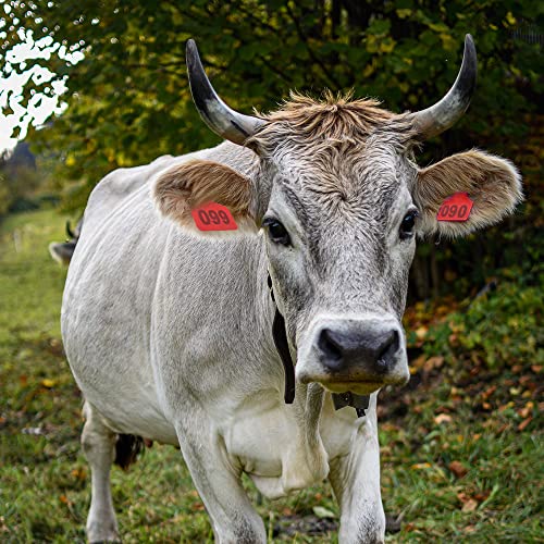 Cattle Ear Tags 001-100 Numbered Large Plastic Livestock Ear Tag,Red | L3''×W2.5'' Fit Sheep Calf Goat Pig,Animal Id Tags For Ranch & Farm Herd Tracking, Laser Print Fade-Resistant, Copper Head - color: Red, size: 001-100