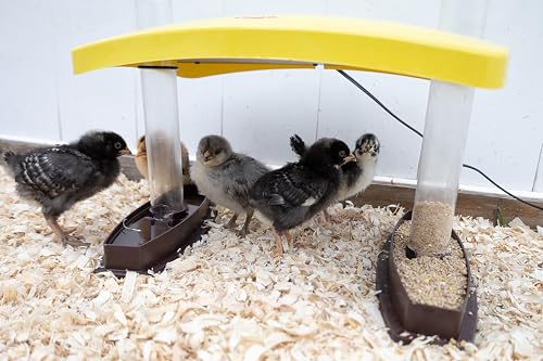 Cozy Chickens Chick Brooder Habitat 100 Watt Water & feeding Tubes