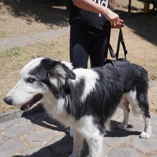 AGON Canine Dog Sling Carrier Support Back Legs Hip Knee Hock Joint Harness to Help Lift Dogs Rear Aid and Old K9 Cruciate (X-Small, Black) - size: X-Small