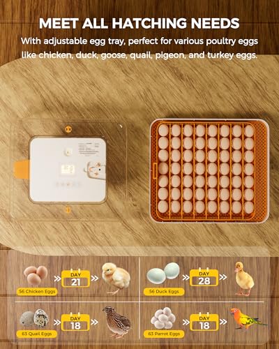 56 Egg Incubator with Automatic Egg Turning and Humidity Control, 360° Viewing, Chicken Incubator for Hatching Duck, Goose, Turkey, Quail, and Parrot Eggs, Egg Candler Ideal for Farm, Home