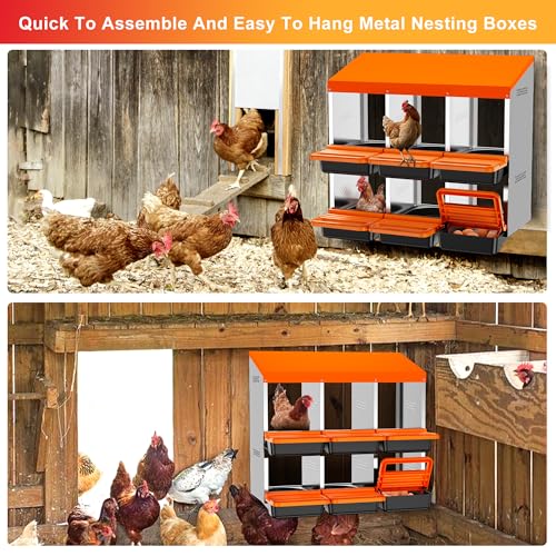 Chicken Nesting Boxes, Roll Away Nest Box for Egg Collector, 6 Holes Orange | Metal Nesting Box for Laying Eggs with Lid Cover to Protect Eggs, Easy Wipe, Slide Out for Quick Bedding Change and Rinse - size: 6 Holes
