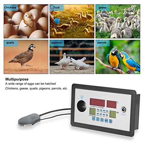 Fdit Intelligent Incubator Thermostat Controller, Digital Automatic Temperature Humidity Monitor with Alarm Egg Light Countdown Timer 12V ABS 150 x 88 x 30 mm for Egg Hatchers