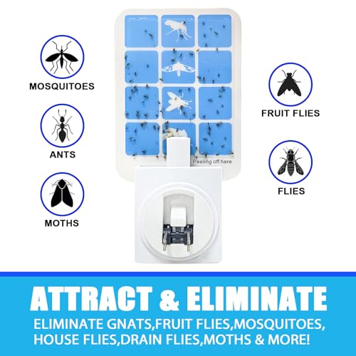 Plug in Flying Insect Trap, Blue Light Bug Catcher, 4 Device+8 Refills | Gnat Traps for House, Indoor Fly Trap for Fruit Fly, Moth and Mosquito, Flying Insect Catcher