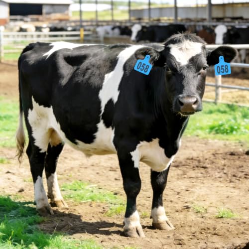 Cattle Ear Tags numberd 001-100 with Applicator Kit,Blue | Large Plastic Livestock Ear Tag with Tagging & Removal Pliers Kit,for Cattle,Sheep,Cow,Goat,Pigs,Animal ID Cards with Pins - color: Blue, size: 001-100 with Tagging & Removal Pliers Kit