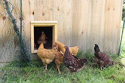 Opener with Timer Included | Auto Vertical Sliding Pop Door for Poultry