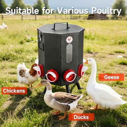 Automatic Chicken Feeder 8 Feeding Ports, 50lbs No-Waste Gravity Poultry Feeder 8 Feeding Ports with Rainproof Lid, Rodent-Proof Large Capacity Metal Chicken Feeder for Hens, Ducks, Birds