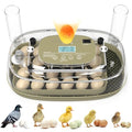 24 Egg Incubator, Incubators for Hatching Eggs with Fully Automatic Turner & Candler, Smart Temperature & Humidity Control, 360° View, Hatching Chicken, Duck, Quail, Goose Eggs for Farm, Home, School