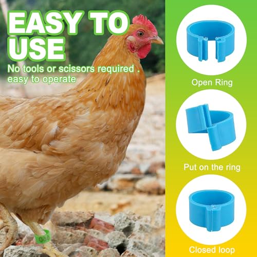 16mm Numbered Poultry Leg Bands – Colorful Chicken Leg Rings for Ducks, Geese, Turkeys, Game Birds – Bird Identification Bands for Poultry Breeding & Flock Management