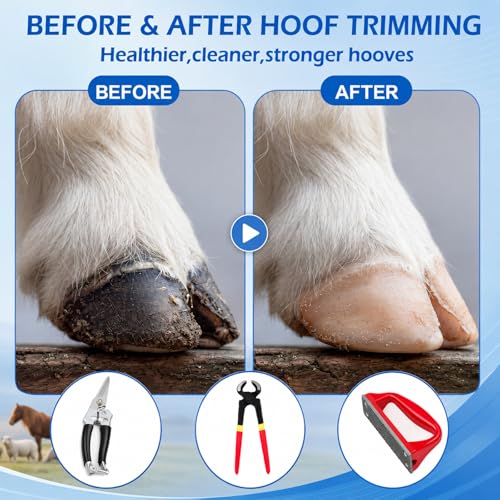 7pcs 8" Farrier Tool Kit, Hoof Rasp Nipper Trimmer Livestock Sling | 8" Hoof Nipper, 300lb Capacity Adjustable Weighing Sling, Storage Bag Included, for Goat, Pig, Sheep, Donkey, Equine, Alpaca - style: Essential Hoof Care Kit