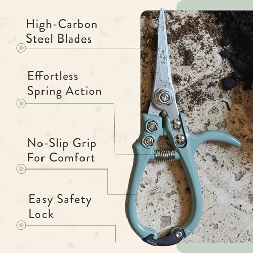 Modern Sprout Pruning Shears - Garden Snips - Herb Scissors - Sage 1-Pack | Lightweight Gardening Tool - Durable Carbon Steel Blade W/Easy-Lock - Gardening Supplies - Flower Cutter - Reusable Holster - color: Sage