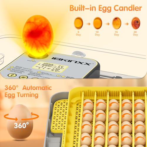 IBKINXX Incubator for Hatching Eggs-48 Egg Capacity, 2026 Newly Upraded Auto Egg Turner & Auto Precision Humidity Control System, 360° Clear Viewing for Chicken, Duck and Quail Eggs (Yellow) | Automatic Temp & Humidity Control, Auto Egg Turning & Built-in