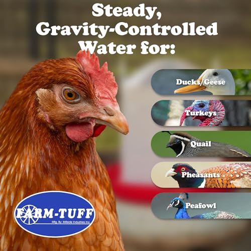 FARM-TUFF Plastic Easy Fill Poultry Waterer, 5 Gallon Capacity – Chicken and Game Bird Water Dispenser – Gravity-Fed Plastic Water Fountain for Hens, Ducks, Turkeys, and Backyard Flocks