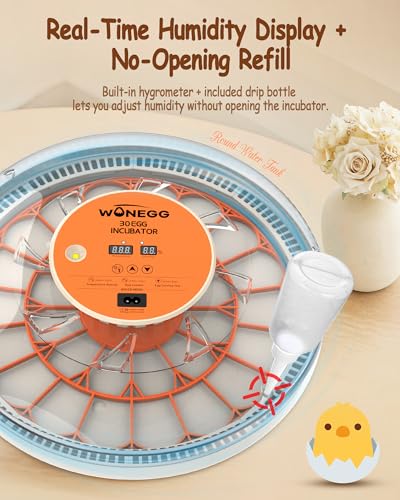 Incubator for Hatching Eggs, 30 Eggs Incubator with Automatic Egg Turning, Temperature Control & Humidity Display, LED Egg Candler, for Chicken, Quail, Parrot Eggs