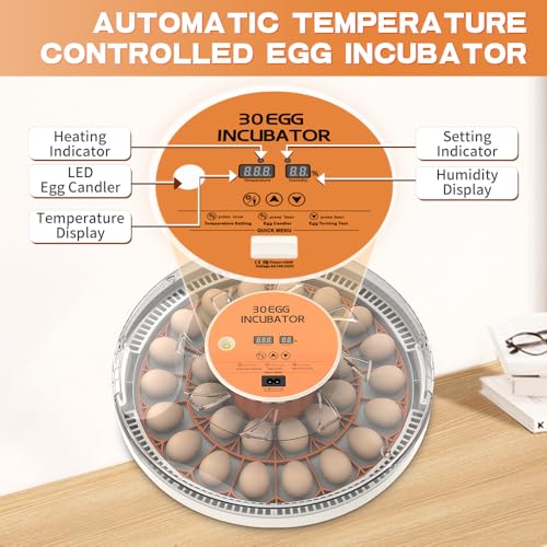 30 Egg Incubator with Automatic Temperature Control, 360° Auto Egg Turning, Humidity Display, LED Candler
