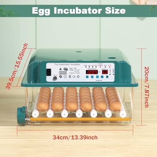 CoInceptus 36 Eggs Incubators for Hatching Eggs,Egg Incubator with 4 Automatic Incubate Mode,Chicken Incubator with Automatic Egg Turning Humidity Display,Quail Egg Incubator with Egg Candle - size: 36 Egg