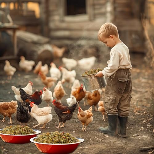 20 Oz Chicken Nesting Herbs Vacuum-Packed (1.25lb) - Natural 7 Dried Herbs for Chicken Coop Freshness, Promote Egg Laying, Hen Treats for Coops - Nesting Box Herbs