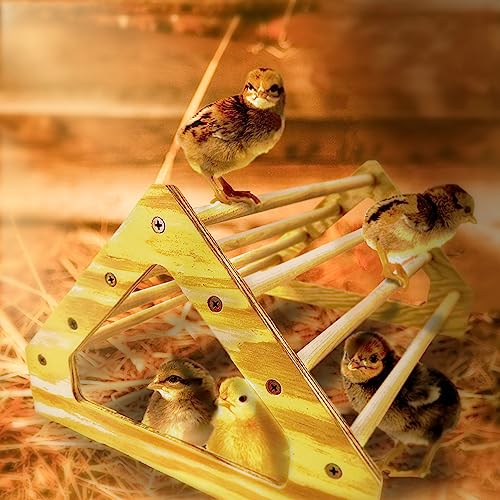 Chick Perch Strong Wooden Jungle Gym Roosting Bar Made in USA!!! Chicken Toys for Coop and Brooder for Baby Chicks El Pollitos La Pollita Pollos Gallinas Polluelos