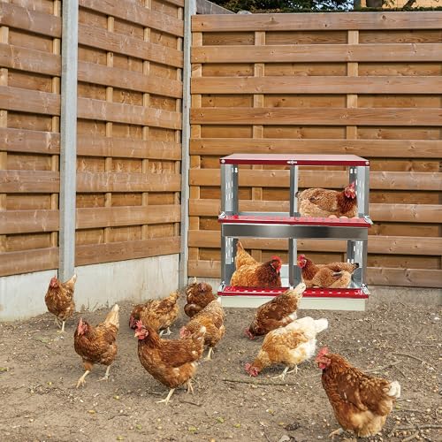 XINYI Chicken Nesting Boxes for Laying Eggs,Metal Coop for 4 Chickens,Roll Away Nesting Boxes,Easy Egg Collection,Brooder Box for Rabbit,Squirrel,Parakeet,Owl,Cockatiel,Robin - size: 33.0"L x 13.0"W x 24.4"H