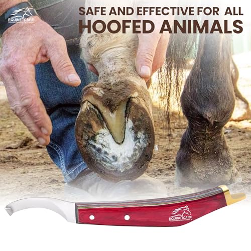 Farrier Hoof Knife, Right-Handed, Brass Cap for Horse Shoeing | Farrier hoof knife with J2 stainless steel blade, notched brass shoe topper and layered handle; right- or left-handed - style: Right Handed