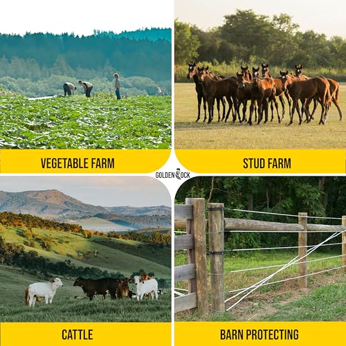 Electric Fence Wire, Thick & Highly Conductive Tinned Copper, 1/4inX1000FT | 40X more conductivity than standard stainless steel, Tinned Copper Strands, Ideal for Temporary Pastures & Livestock Fencing