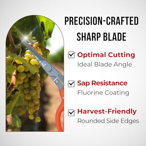 Chikamasa B-500SLF Stainless Steel Fluorine Coated Garden Pruning Shears with Nascom Blade Cleaner & Sap Remover Set, Made in Japan Professional Gardening Maintenance Kit