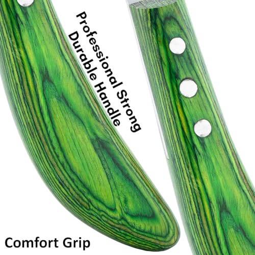 – Super Sharp Hoof Knife | Stainless Steel Blade with Wooden Handle | Professional Farrier Hoof Trimming Tool for Horses & Equine Hoof Care (Green Right-Hand)